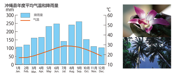冲绳县年度平均气温和降雨量