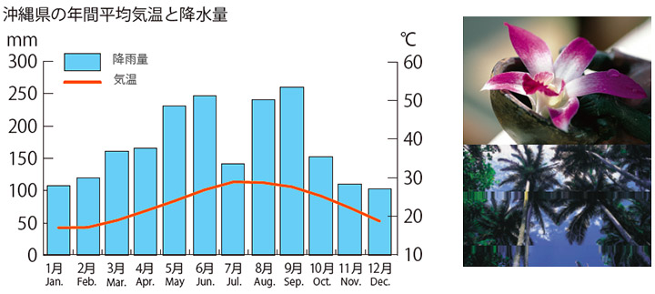沖縄県の年間平均気温と降水量