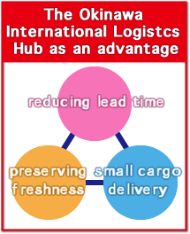 The Okinawa International Logistcs Hub as an advantage
