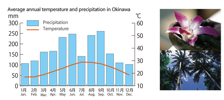 沖縄県の年間平均気温と降水量のグラフと沖縄のイメージ画像